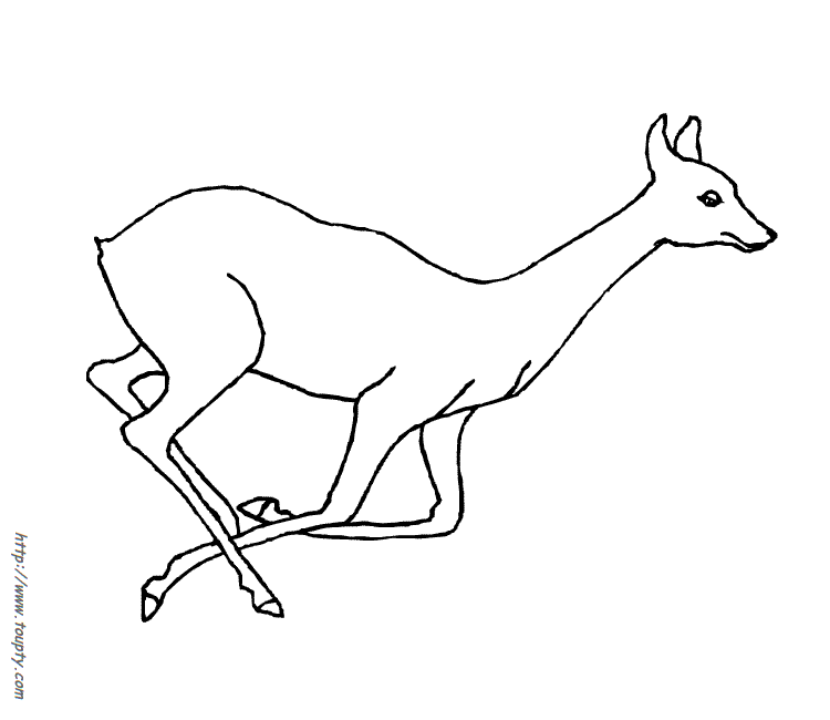 Coloring page: Doe (Animals) #1110 - Free Printable Coloring Pages