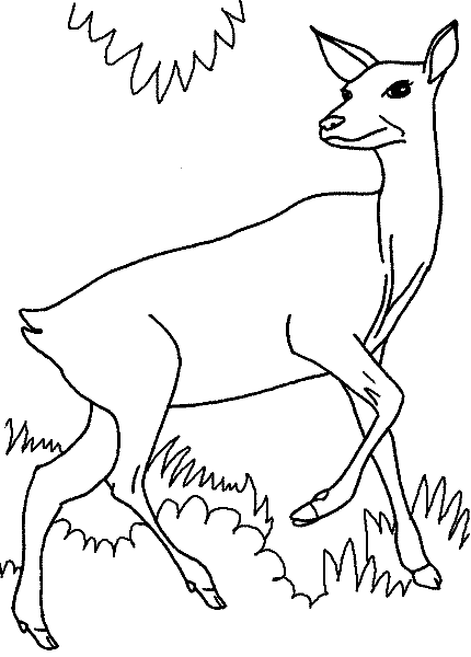 Coloring page: Doe (Animals) #1133 - Free Printable Coloring Pages