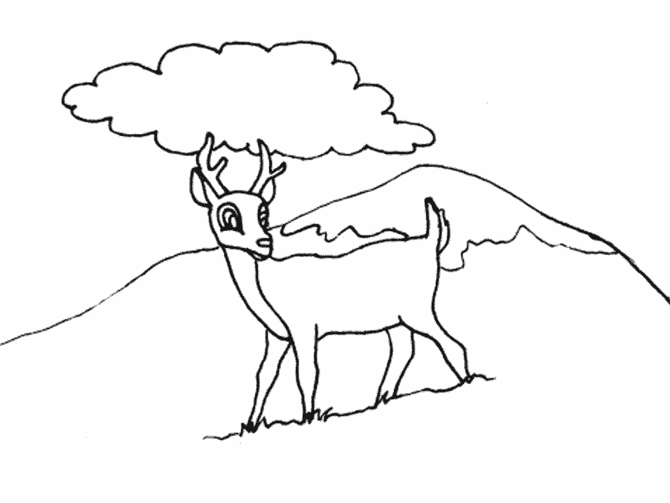 Coloring page: Doe (Animals) #1145 - Free Printable Coloring Pages