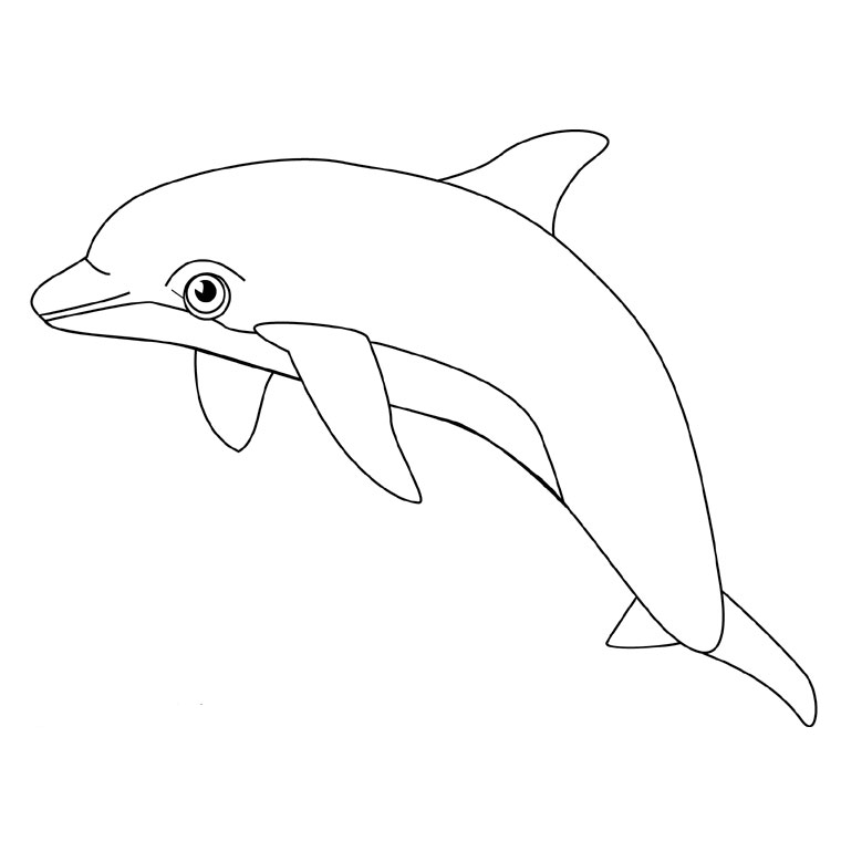 Coloring page: Dolphin (Animals) #5096 - Free Printable Coloring Pages