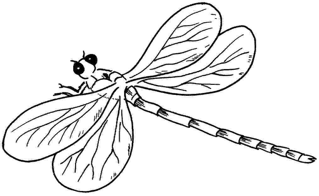 Coloring page: Dragonfly (Animals) #10024 - Free Printable Coloring Pages