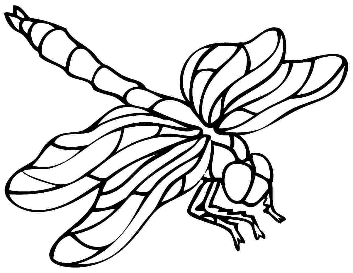 Coloring page: Dragonfly (Animals) #9881 - Free Printable Coloring Pages