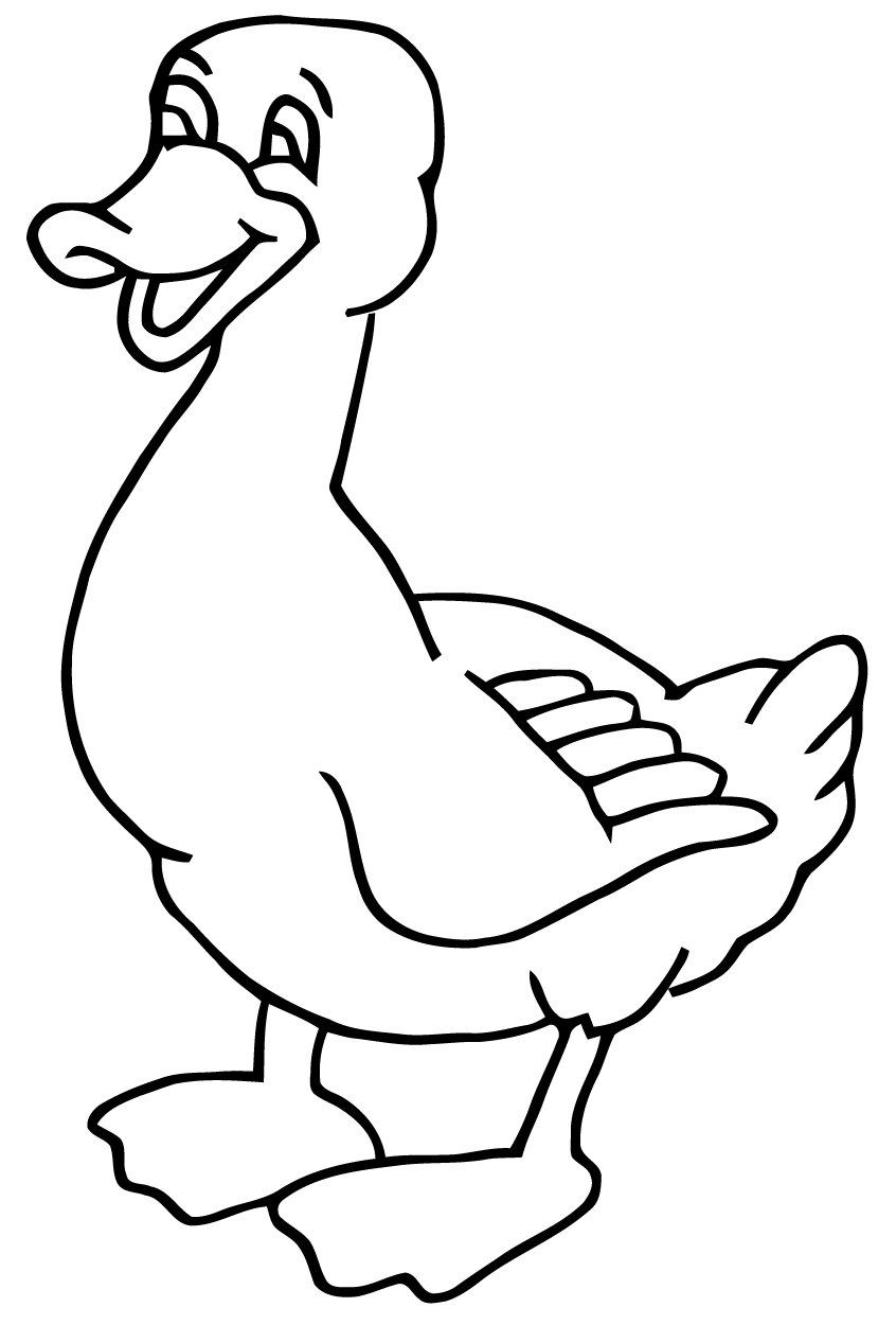 Coloring page: Duck (Animals) #1463 - Free Printable Coloring Pages