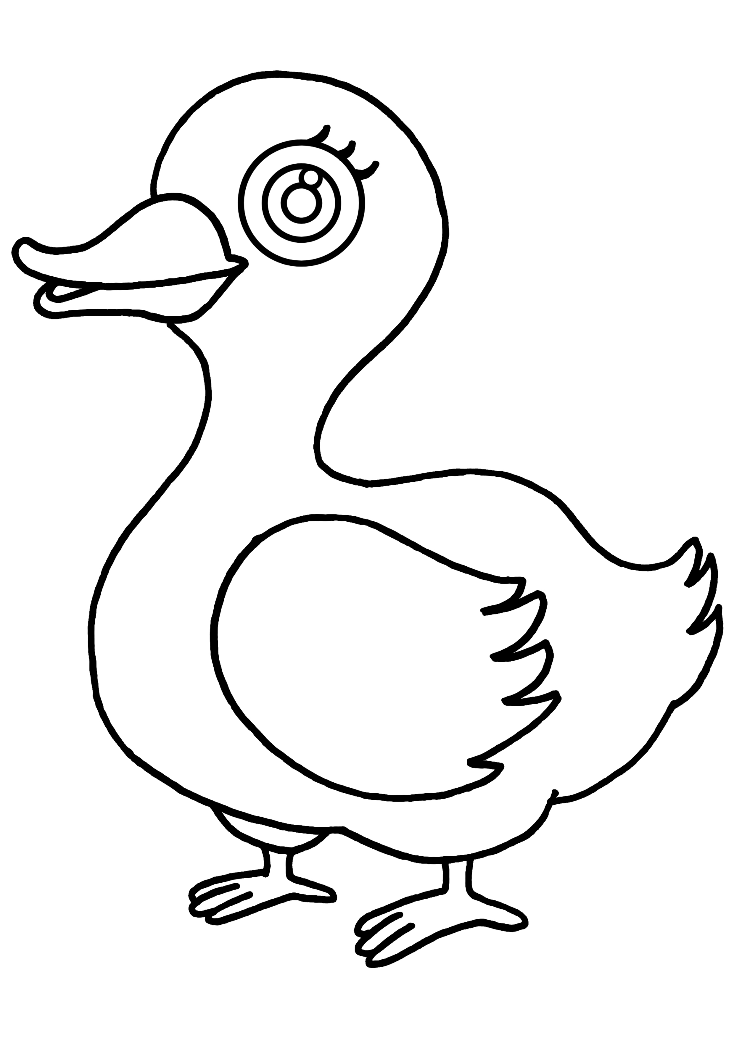 Coloring page: Duck (Animals) #1507 - Free Printable Coloring Pages