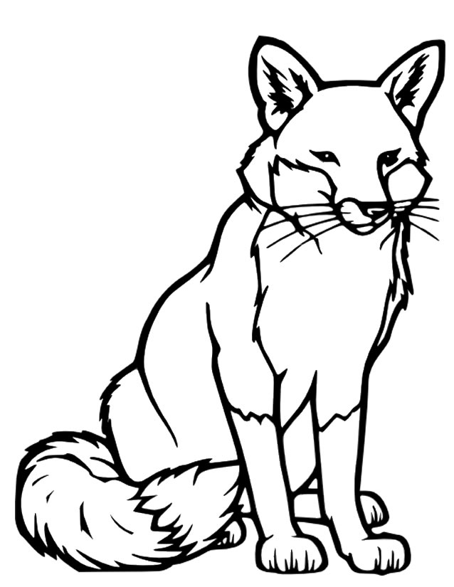 Coloring page: Fox (Animals) #14972 - Free Printable Coloring Pages
