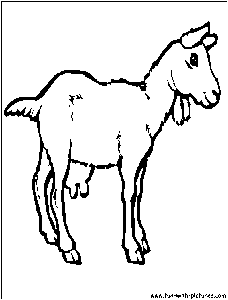 Coloring page: Goat (Animals) #2422 - Free Printable Coloring Pages