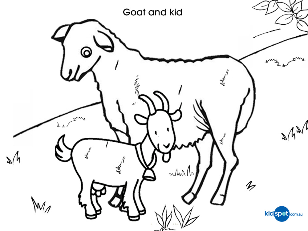 Coloring page: Goat (Animals) #2437 - Free Printable Coloring Pages