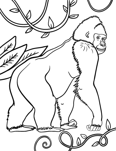 Coloring page: Gorilla (Animals) #7442 - Free Printable Coloring Pages