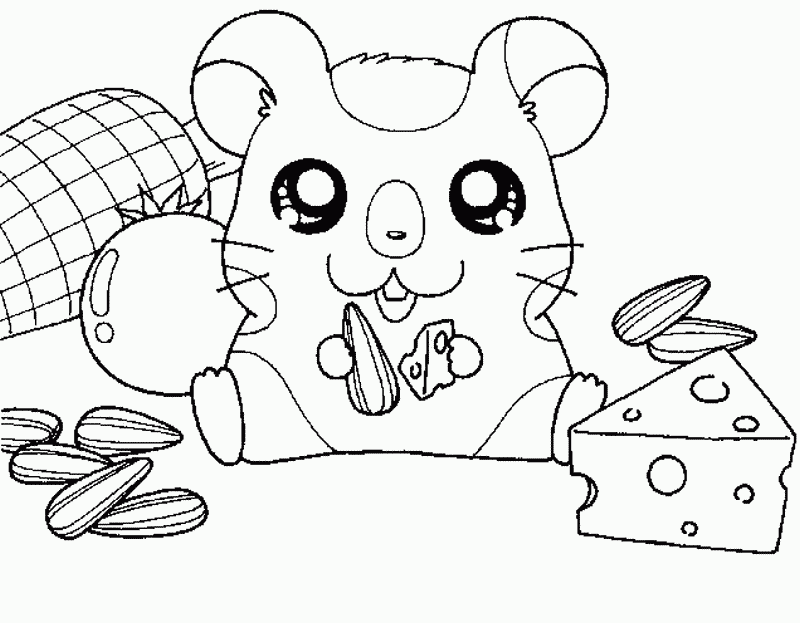 Coloring page: Hamster (Animals) #8208 - Free Printable Coloring Pages