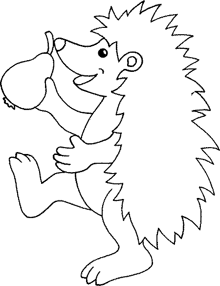 Coloring page: Hedgehog (Animals) #8296 - Free Printable Coloring Pages