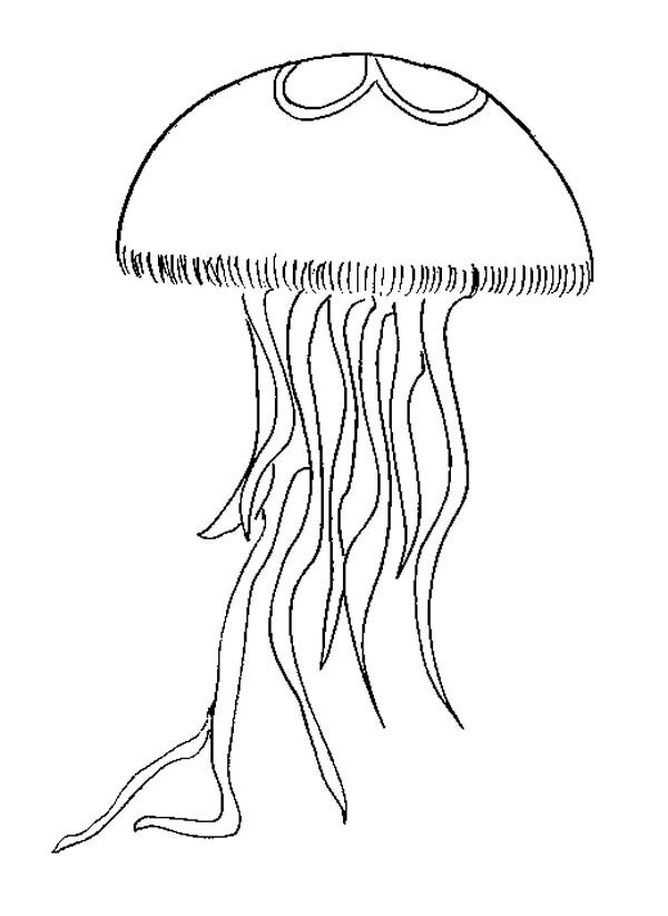 Coloring page: Jellyfish (Animals) #20399 - Free Printable Coloring Pages