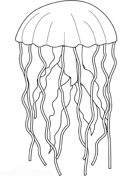 Coloring page: Jellyfish (Animals) #20483 - Free Printable Coloring Pages