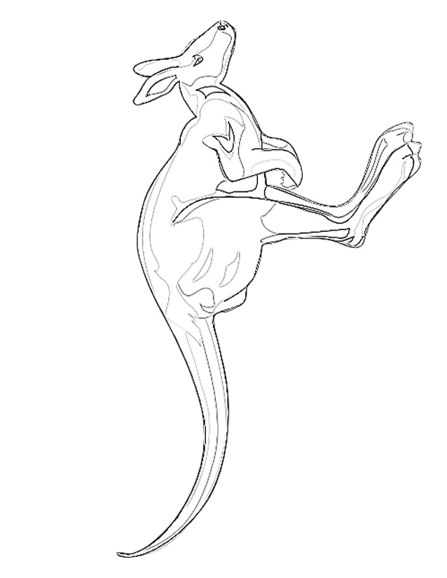 Coloring page: Kangaroo (Animals) #9224 - Free Printable Coloring Pages
