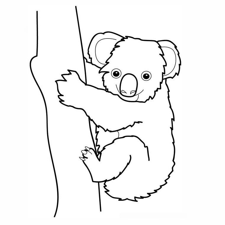Coloring page: Koala (Animals) #9300 - Free Printable Coloring Pages