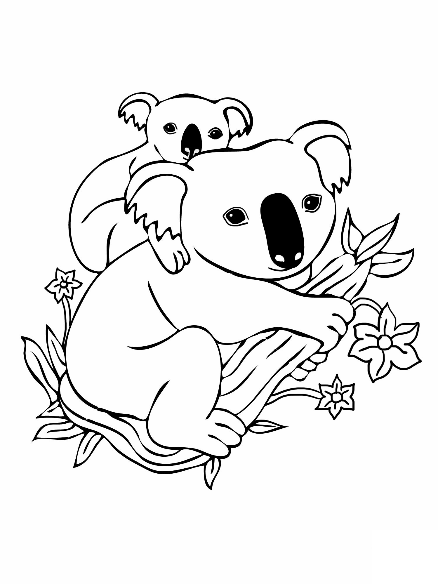 Coloring page: Koala (Animals) #9302 - Free Printable Coloring Pages