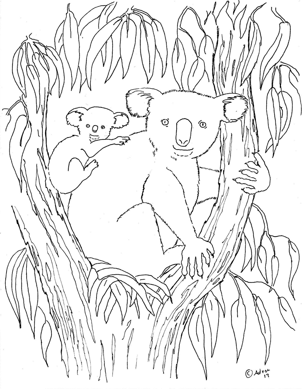 Coloring page: Koala (Animals) #9310 - Free Printable Coloring Pages