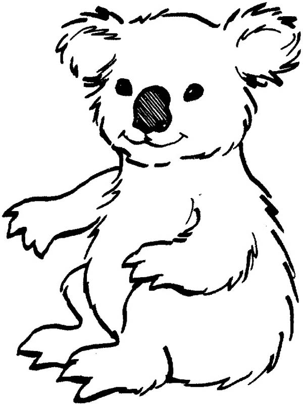 Coloring page: Koala (Animals) #9311 - Free Printable Coloring Pages