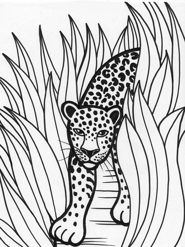 Coloring page: Leopard (Animals) #9825 - Free Printable Coloring Pages