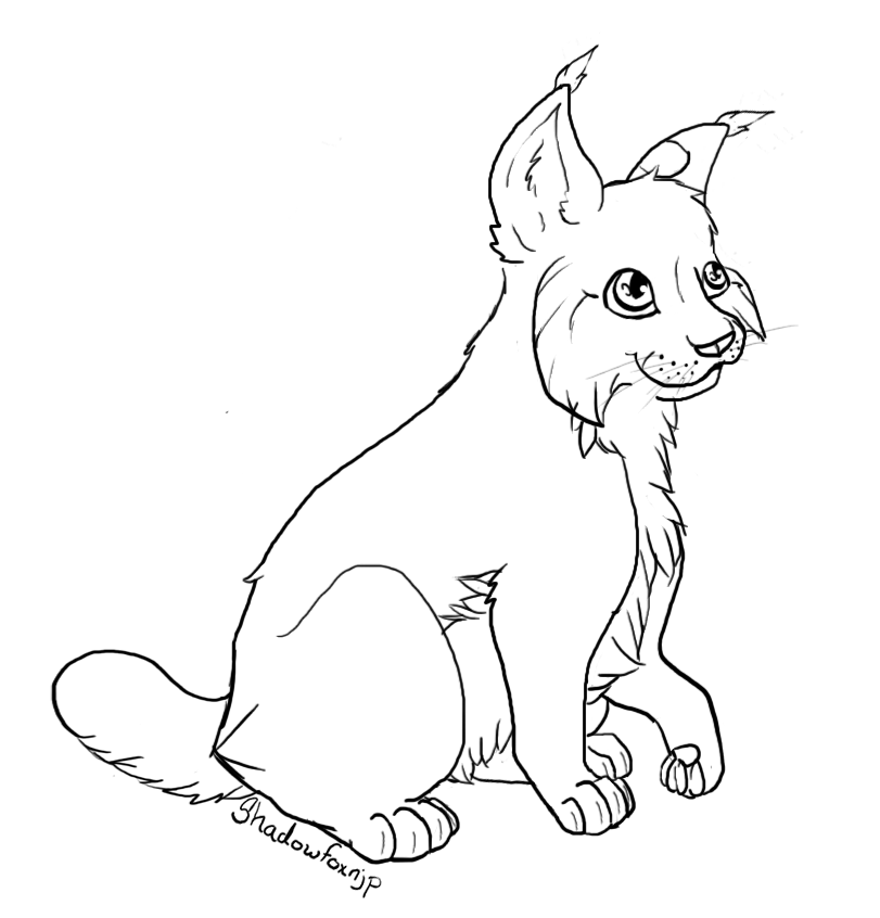Coloring page: Lynx (Animals) #10868 - Free Printable Coloring Pages