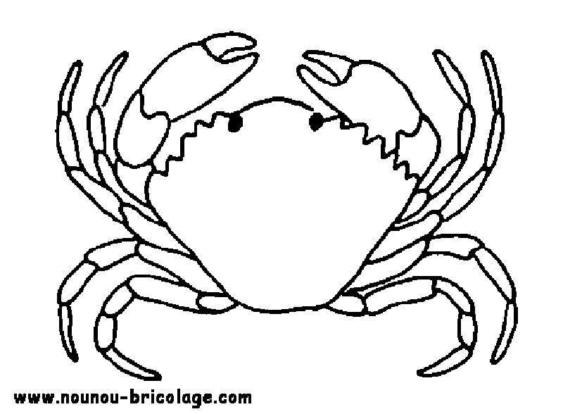 Coloring page: Marine Animals (Animals) #22002 - Free Printable Coloring Pages