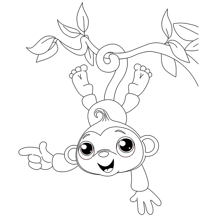 Coloring page: Monkey (Animals) #14193 - Free Printable Coloring Pages
