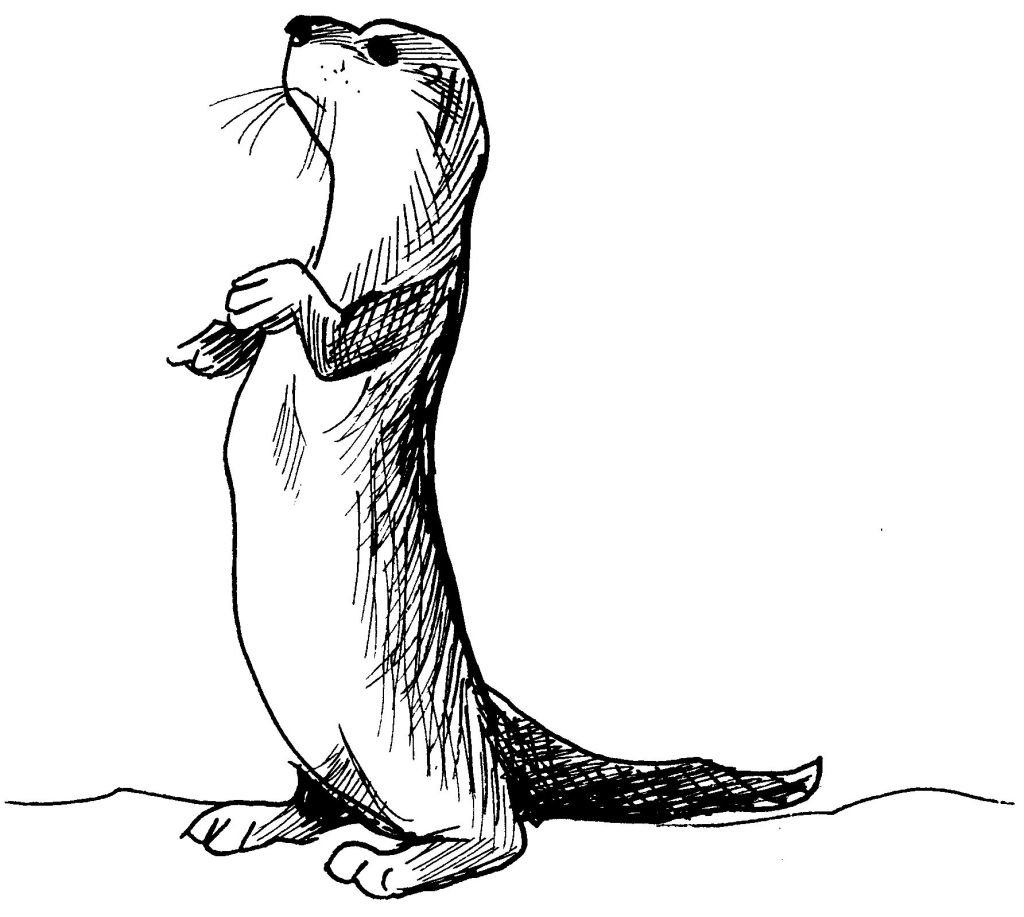 Coloring page: Otter (Animals) #10658 - Free Printable Coloring Pages