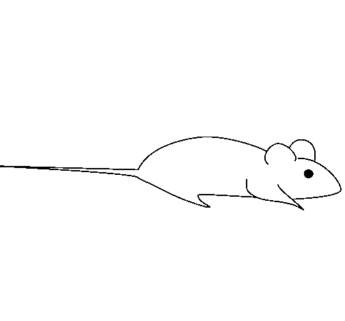 Coloring page: Rat (Animals) #15187 - Free Printable Coloring Pages