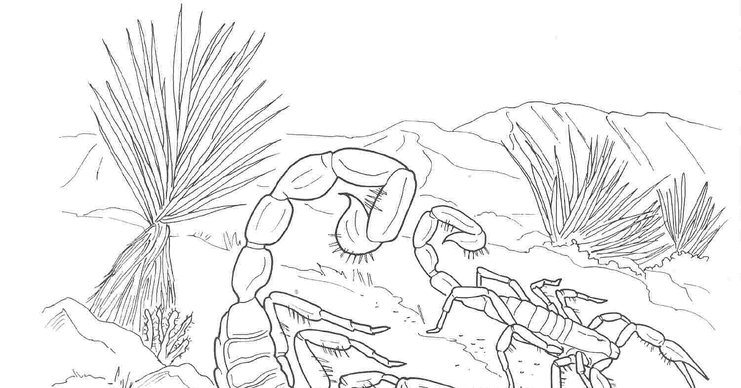 Coloring page: Scorpio (Animals) #14597 - Free Printable Coloring Pages