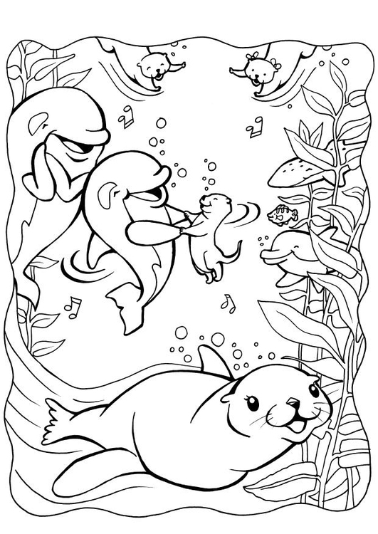 Coloring page: Seal (Animals) #16318 - Free Printable Coloring Pages