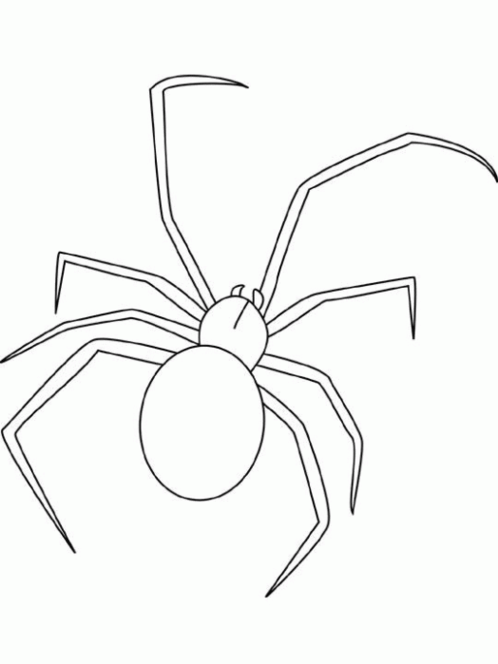 Coloring page: Spider (Animals) #613 - Free Printable Coloring Pages