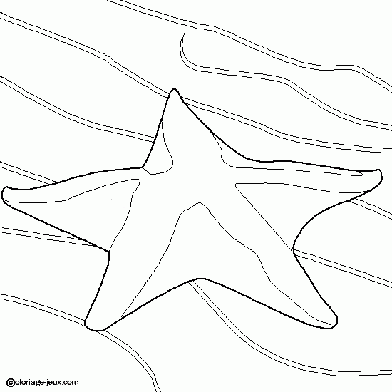 Coloring page: Starfish (Animals) #6715 - Free Printable Coloring Pages