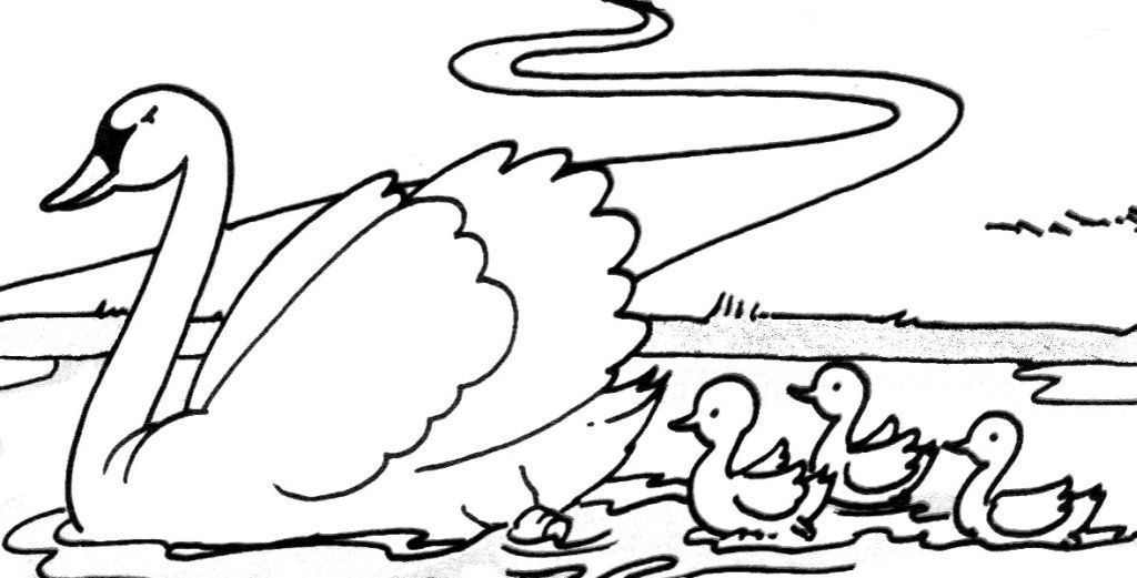 Coloring page: Swan (Animals) #5008 - Free Printable Coloring Pages