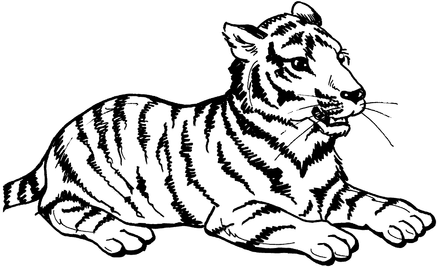 Coloring page: Tiger (Animals) #13597 - Free Printable Coloring Pages