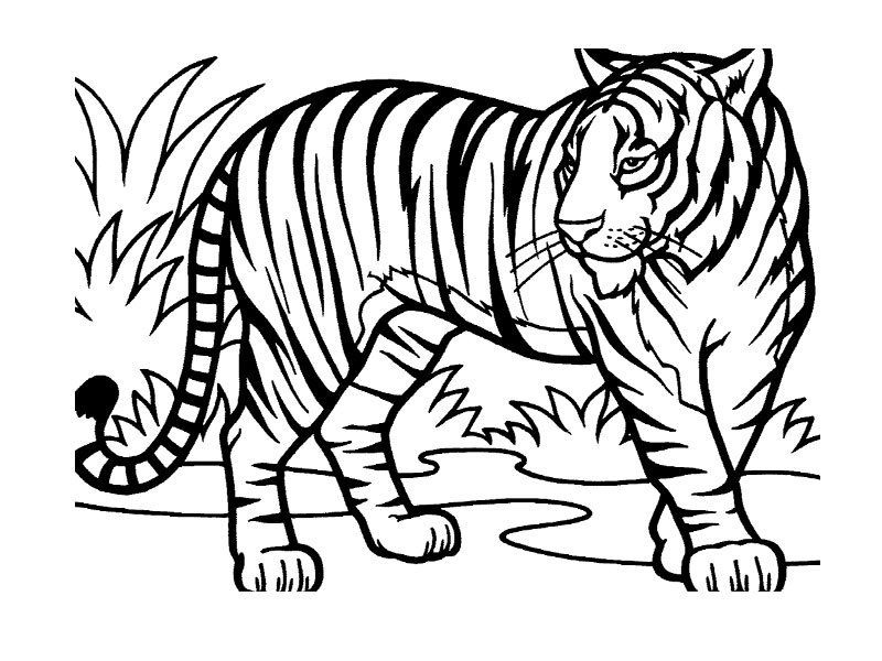Coloring page: Wild / Jungle Animals (Animals) #21114 - Free Printable Coloring Pages