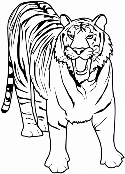 Coloring page: Wild / Jungle Animals (Animals) #21130 - Free Printable Coloring Pages