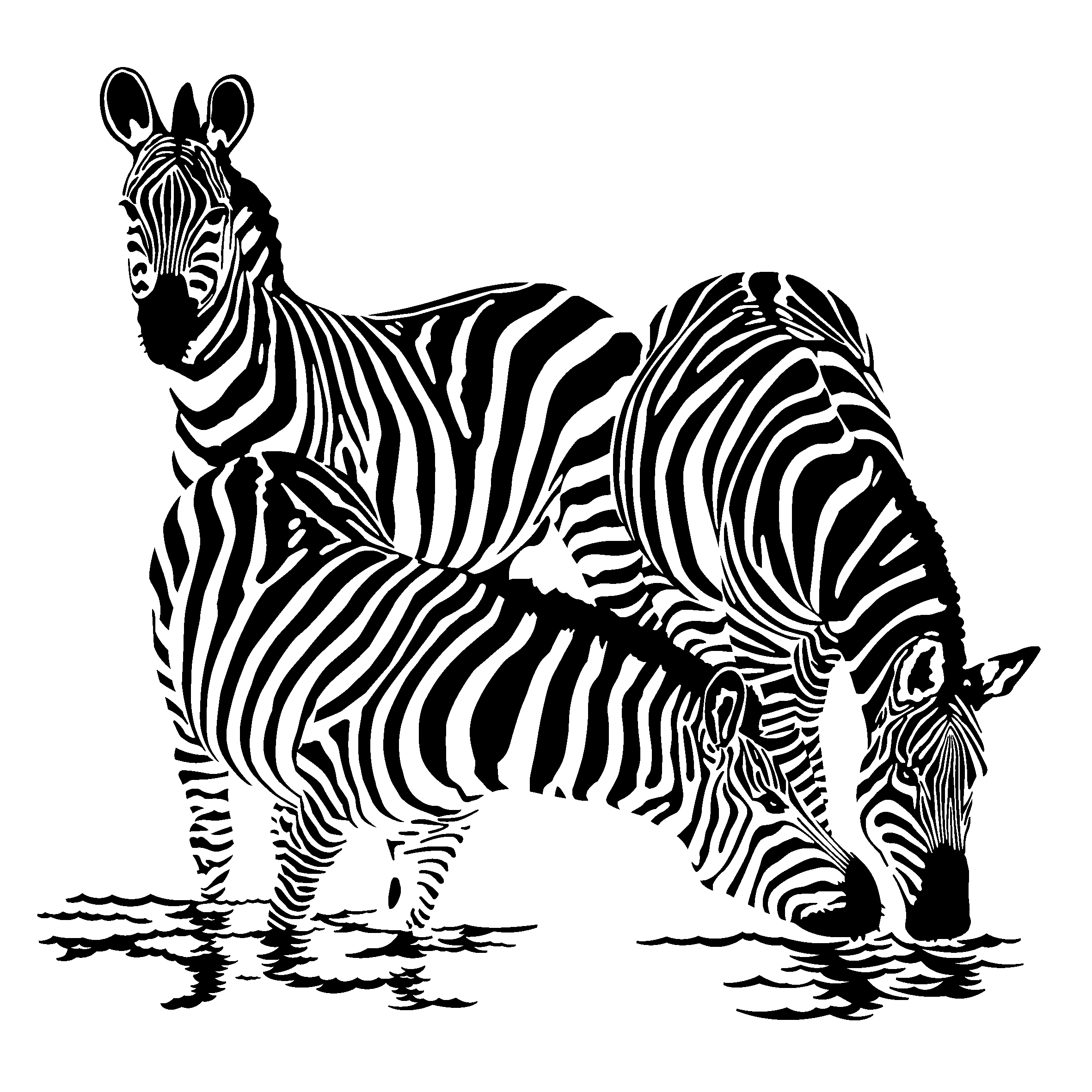 Coloring page: Zebra (Animals) #12955 - Free Printable Coloring Pages