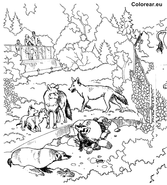 Coloring page: Zoo (Animals) #12848 - Free Printable Coloring Pages