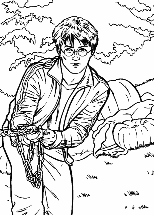Coloring page: Harry Potter (Movies) #69633 - Free Printable Coloring Pages