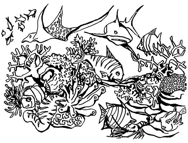 Coloring page: Coral (Nature) #163066 - Free Printable Coloring Pages