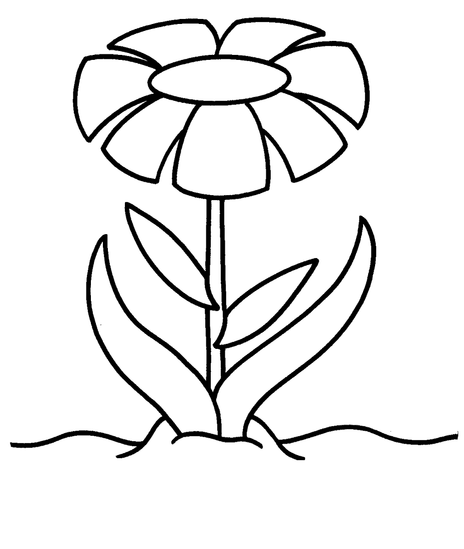 Coloring page: Daisy (Nature) #161596 - Free Printable Coloring Pages