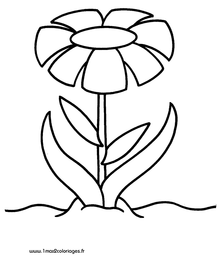 Coloring page: Flowers (Nature) #155264 - Free Printable Coloring Pages