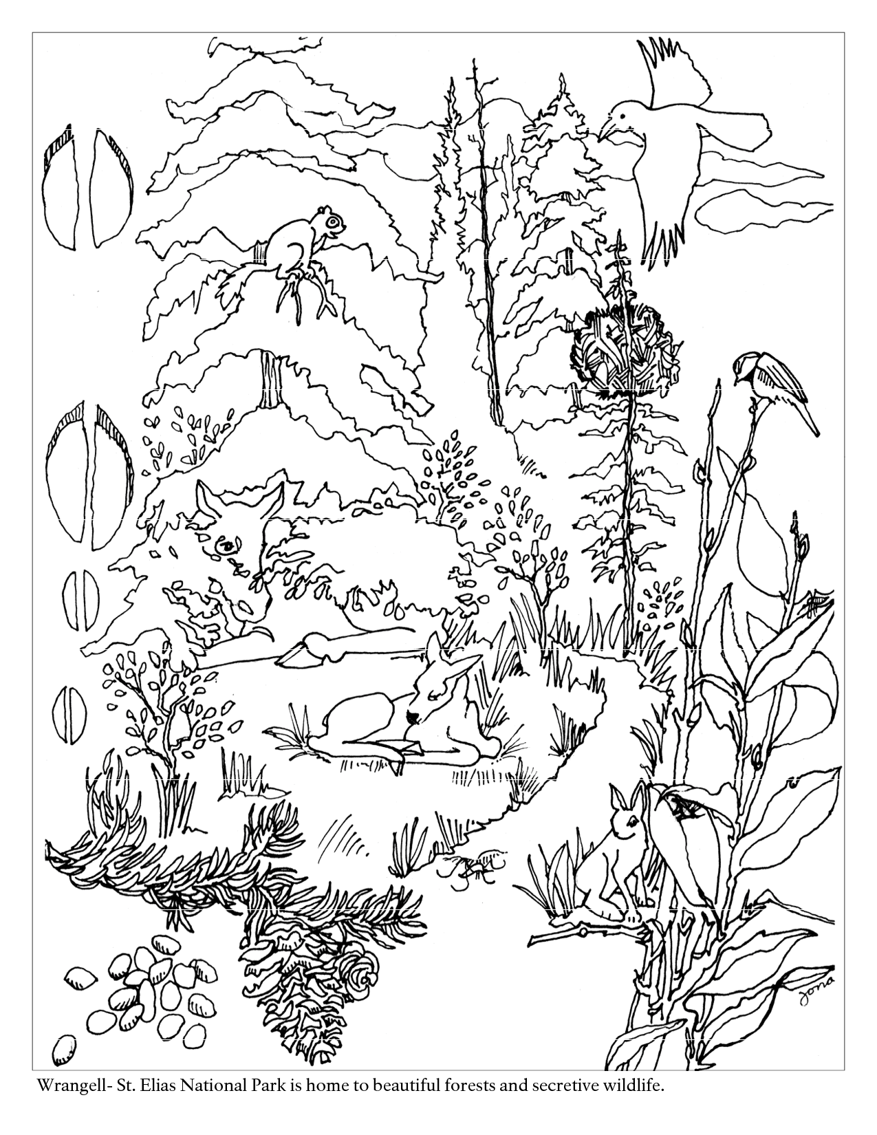 Coloring page: Forest (Nature) #157007 - Free Printable Coloring Pages