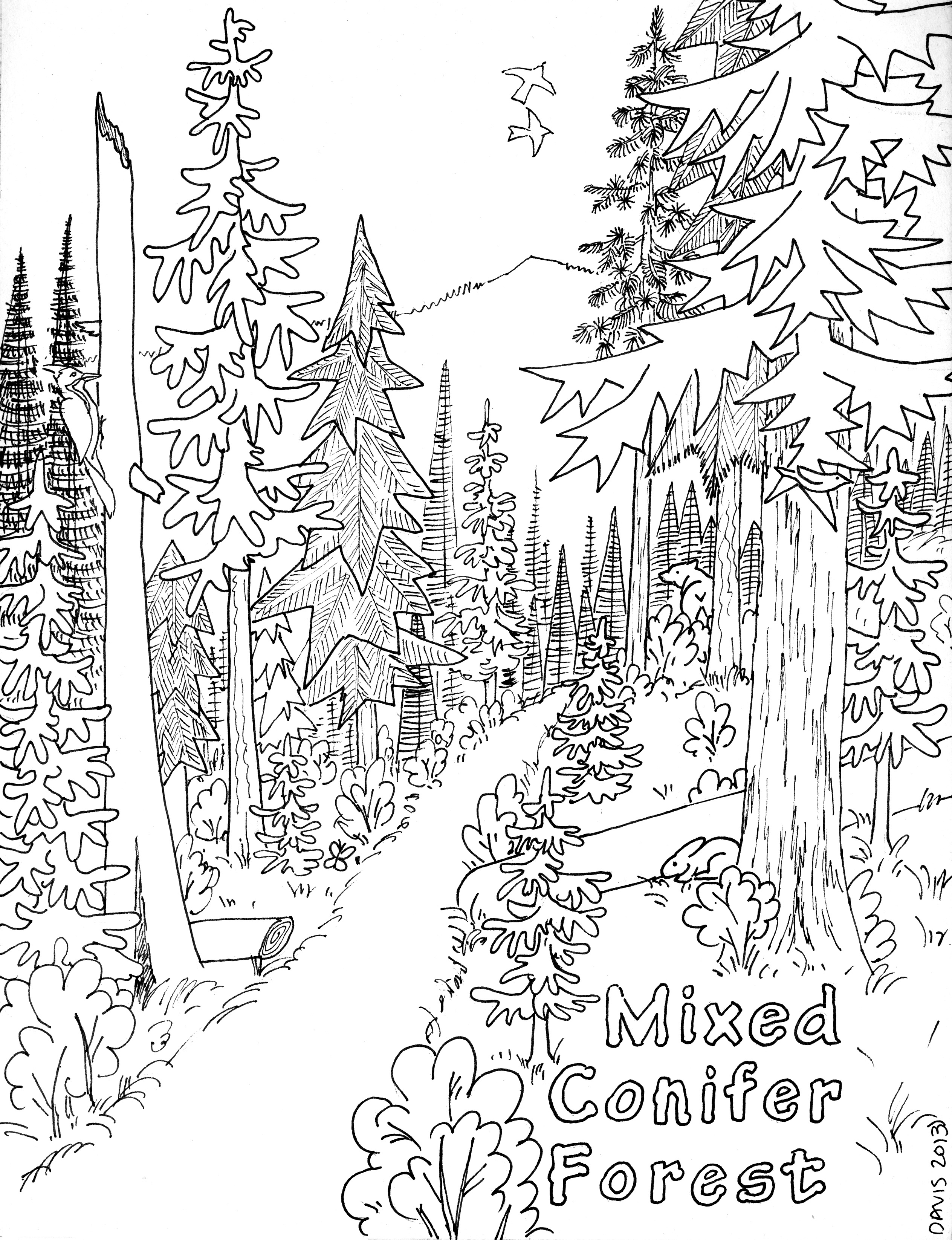 Coloring page: Forest (Nature) #157046 - Free Printable Coloring Pages