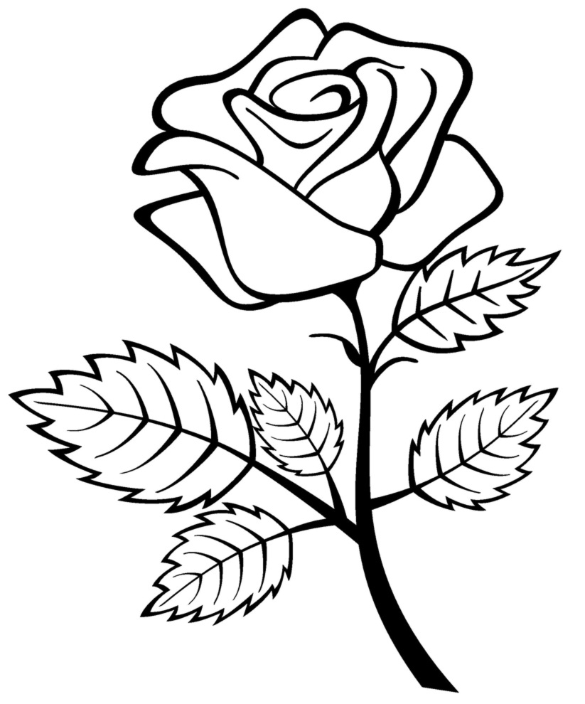 Coloring page: Roses (Nature) #161909 - Free Printable Coloring Pages