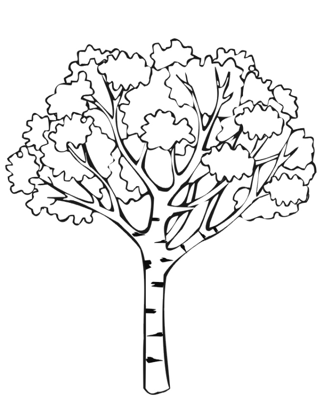 Coloring page: Tree (Nature) #154671 - Free Printable Coloring Pages