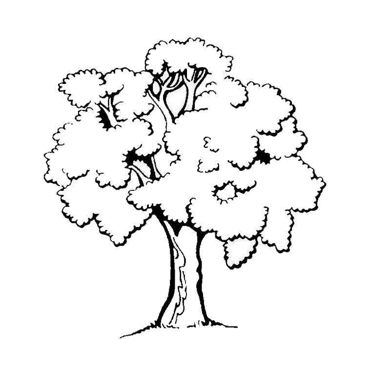 Coloring page: Tree (Nature) #154683 - Free Printable Coloring Pages