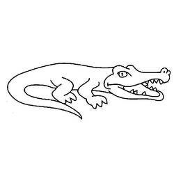 Coloring page: Alligator (Animals) #413 - Free Printable Coloring Pages