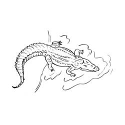 Coloring page: Alligator (Animals) #431 - Free Printable Coloring Pages