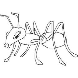Coloring page: Ant (Animals) #6947 - Free Printable Coloring Pages