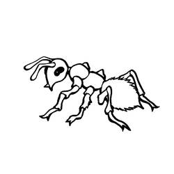 Coloring page: Ant (Animals) #7001 - Free Printable Coloring Pages